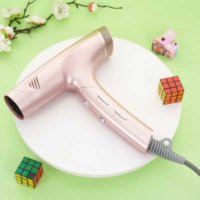 Custom Lightweight High Speed Hair Dryer 420g 110000rpm/min Speed