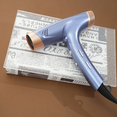 Custom Personalized DC Motor Hair Dryer Blowing High Speed Lightweight